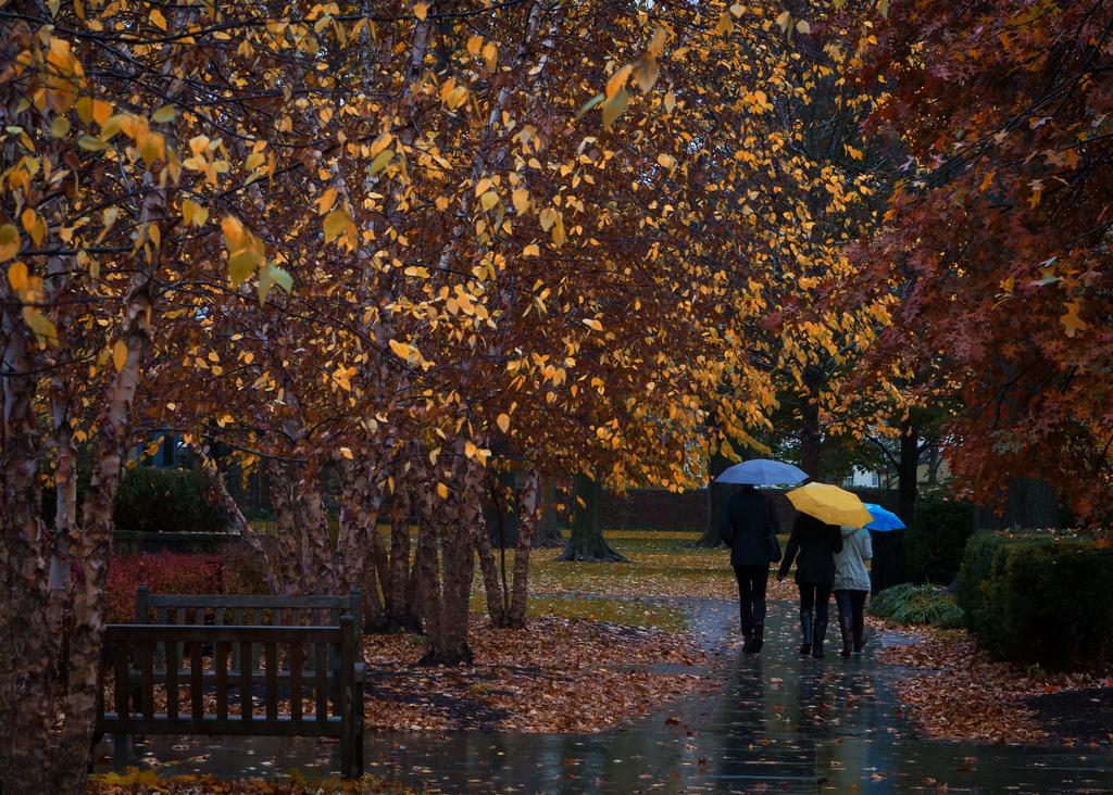 Prognoza meteo pentru 22-25 octombrie 2018. Meteorologii anunță ploi și vreme rea