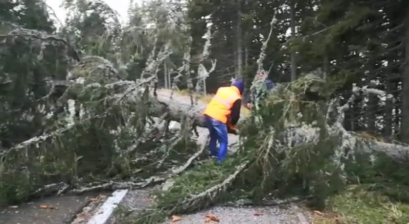 Vremea rea a făcut ravagii &icirc;n țară! Trei persoane au murit,&nbsp;&icirc;n urma ninsorilor și v&acirc;ntului puternic&nbsp;