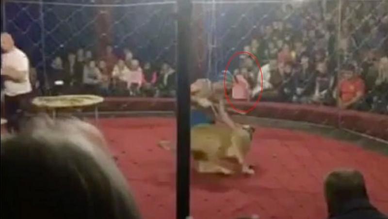 Spectacol de circ MACABRU! O leoaică s-a năpustit asupra unei fetițe. Imagini ȘOCANTE! – FOTO