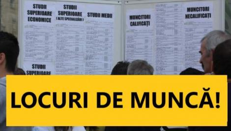 Vești EXCELENTE pentru români! Se fac angajări MASIVE! Aproximativ 30.000 de locuri de muncă sunt vacante în țară