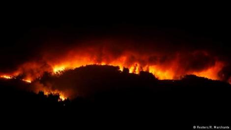 INCENDIU de proporții în Iași! Flăcările au cuprins 50 de hectare de vegetaţie