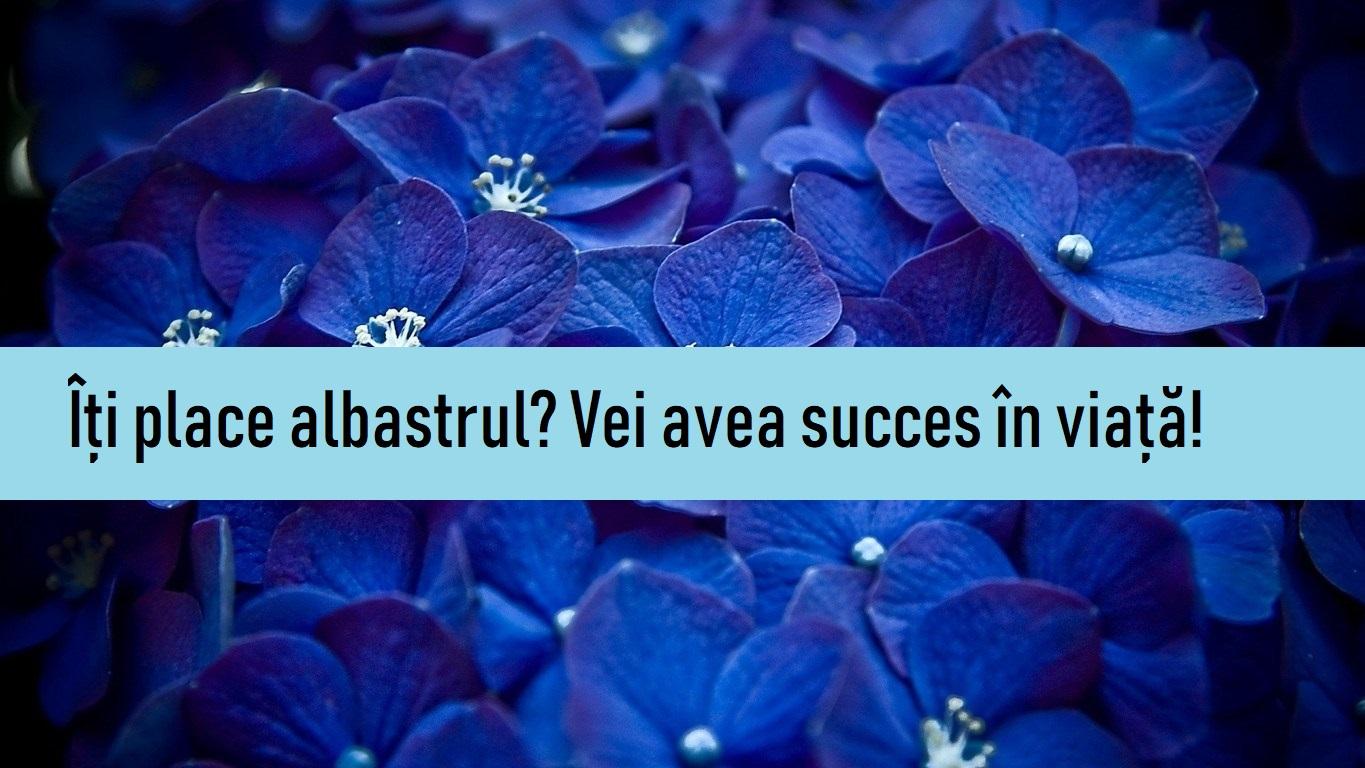 Psihologia culorii: Iată ce personalitate au cei care preferă Albastru