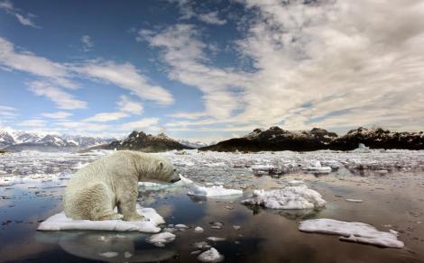 Informațiile privind încălzirea globală sunt alarmante. Topirea ghețarilor nu mai poate fi controlată, iar efectele sunt dramatice pentru Omenire