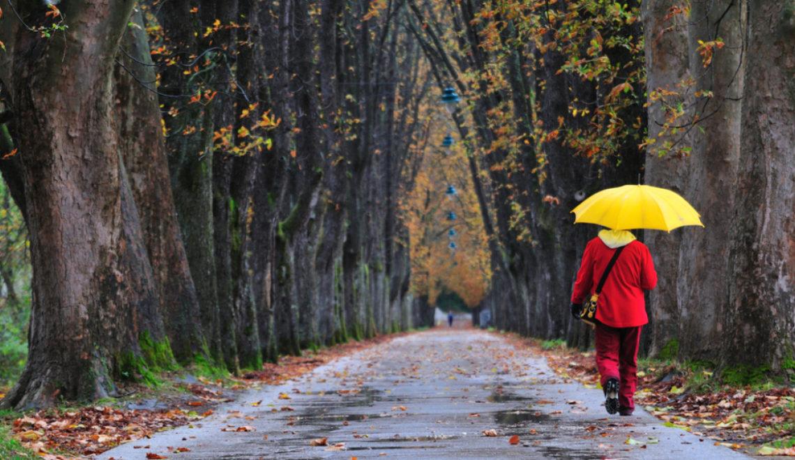 Vremea 14 noiembrie. Meteorologii anunță ploi pe arii extinse