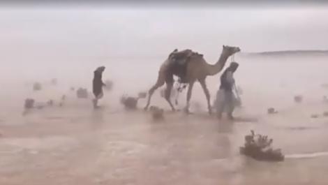 Cumplit! Imagini tulburătoare cu regiuni de deșert inundate fac înconjurul internetului - VIDEO