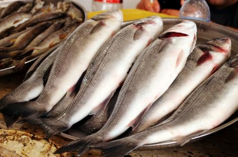 Fenomen periculos în România! Ce au descoperit specialiștii în peștii consumați de români