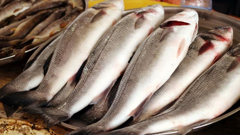 Fenomen periculos în România! Ce au descoperit specialiștii în peștii consumați de români