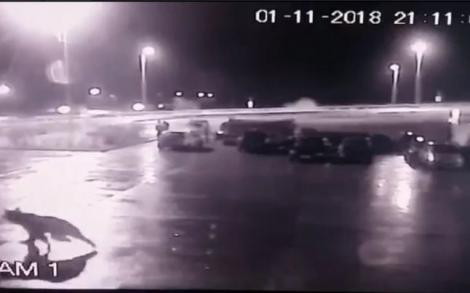 Accident ULUITOR pe autostrada A1! Un urs a intrat pe carosabil și a fost lovit de un TIR