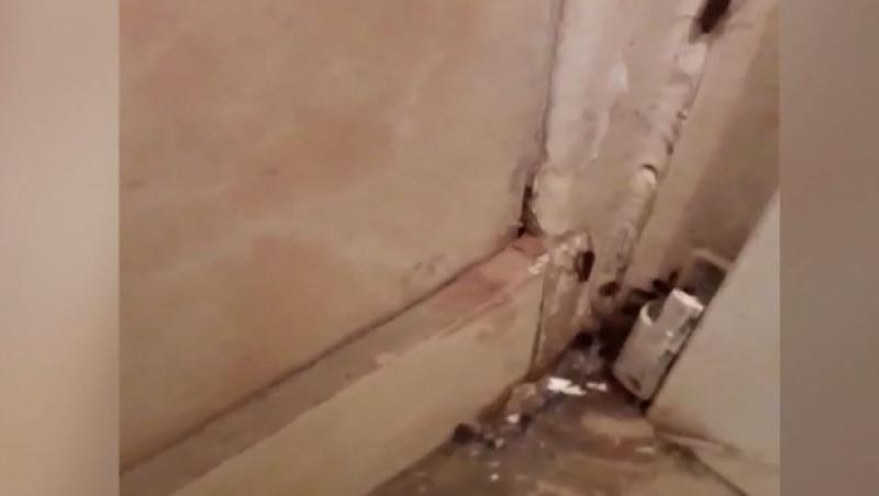 Imagini șocante surprinse într-un spital din România, în 2018! O sală de operații a fost invadată de gândaci!