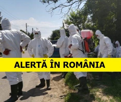 Pericolul lovește din nou România! Specialiștii trag un semnal de alarmă