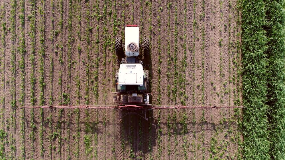 Calendarul tratamentelor la culturile de cereale păioase