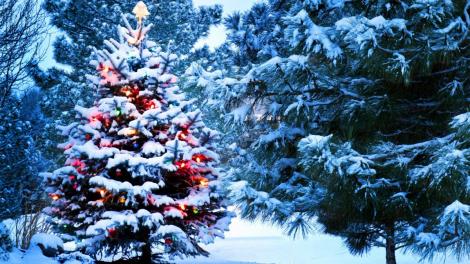 Iarna a răbufnit în forţă încă din noiembrie. Cum va fi vremea în luna decembrie și de Crăciun