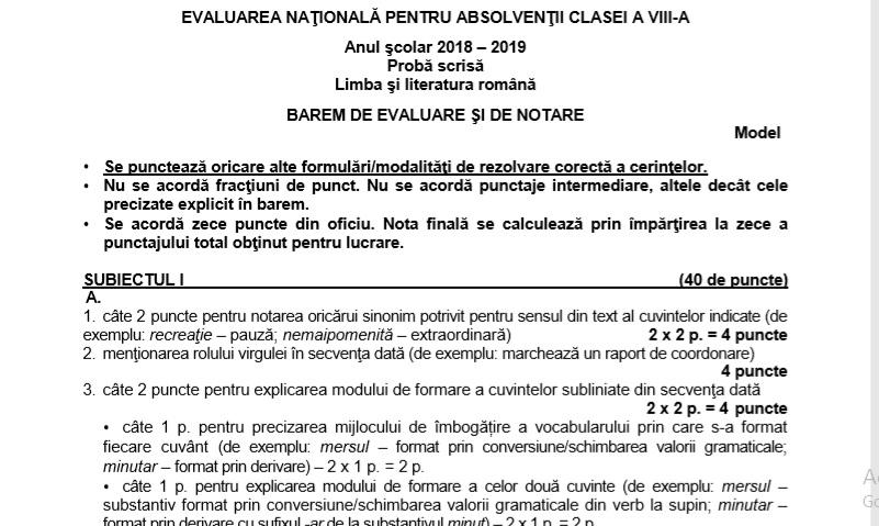 Evaluarea Naționala 2019. Modele de subiecte aprobate de Edu.ro