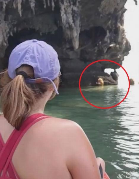 Turiștii au descoperit creaturi bizare pe o insulă! Surpriza abia apoi a venit (VIDEO)