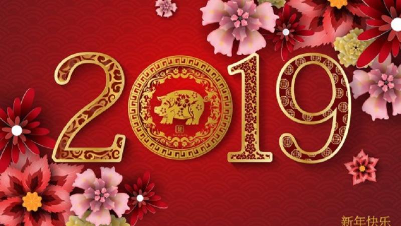 Horoscop chinezesc 2019. Anul Mistrețului aduce numeroase schimbări