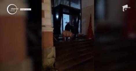 Un porc s-a dus la Primărie. Nu e glumă! S-a întâmplat în Râșnov. Cum a ajuns animalul pe treptele instituției