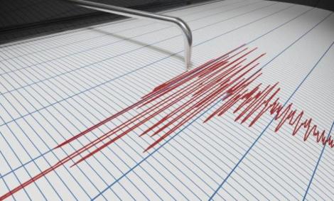 Cinci cutremure s-au produs în această dimineață! Patru dintre ele au avut loc la granița cu România