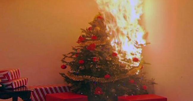 O familie, salvată de la moarte, &icirc;n noaptea de Crăciun! Reacția patrupedului atunci c&acirc;nd bradul familiei a luat foc