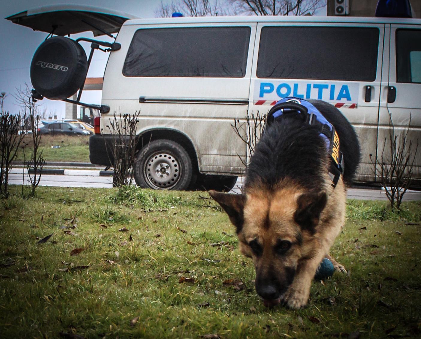 Alertă generală! Poliția &icirc;l caută peste tot! Orice rom&acirc;n care l-a văzut este rugat să anunțe!