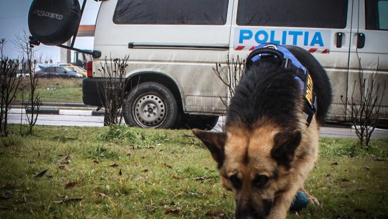 Alertă generală! Poliția îl caută peste tot! Orice român care l-a văzut este rugat să anunțe!