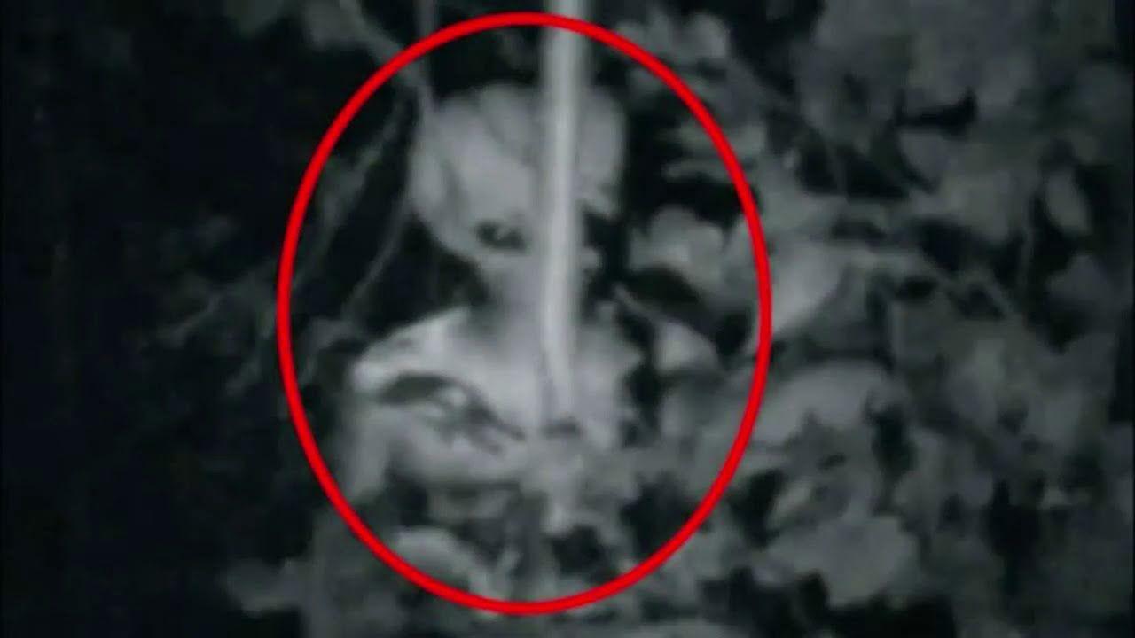 Epocal. NASA, anunțul care schimbă istoria omenirii: &bdquo;Extratereștrii au ajuns!&rdquo;