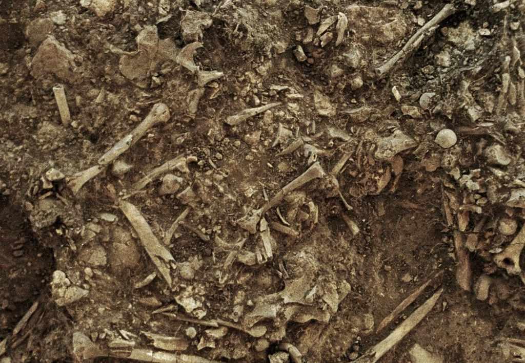 &Icirc;ți dă fiori! Descoperire monumentală &icirc;ntr-un morm&acirc;nt vechi de aproape 5.000 de ani! Istoria timpurie europeană este rescrisă! &nbsp;