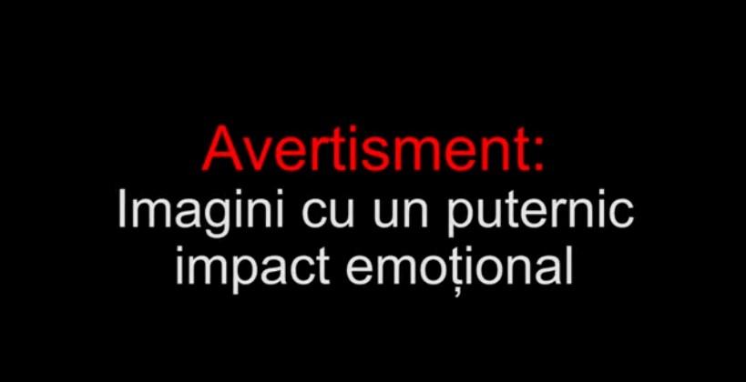 VIDEO| Un copil cu dizabilități a fost str&acirc;ns de g&acirc;t și bătut cu sălbăticie de colegi: &bdquo;Bă, &icirc;l omori. Nu &icirc;l mai str&acirc;nge de g&acirc;t. Lasă-l!&rdquo;