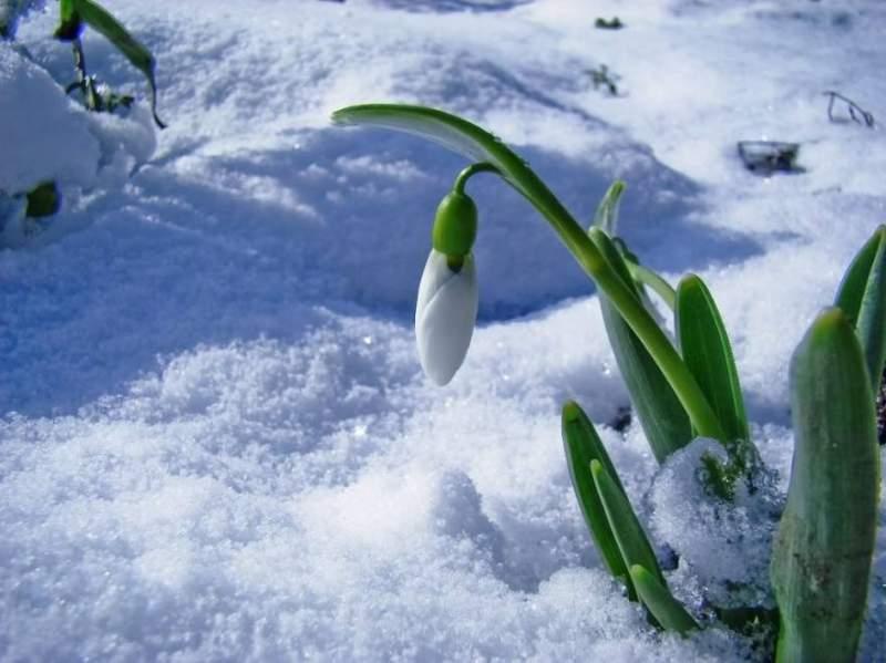 Meteorologii au făcut anunţul: Cum va fi vremea &icirc;n următoarele două luni