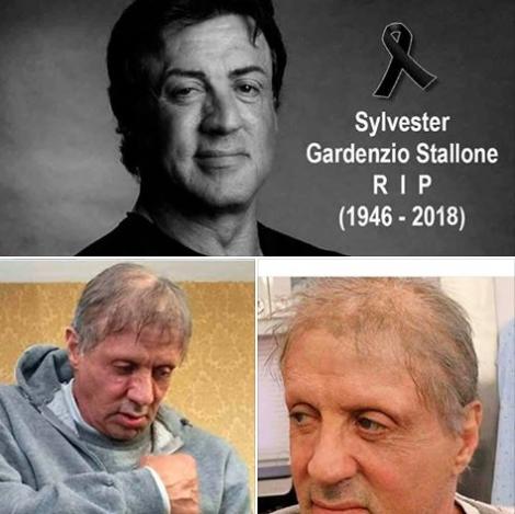 "Actorul Sylvester Stallone a murit!" Adevărul despre știrea care face înconjurul lumii