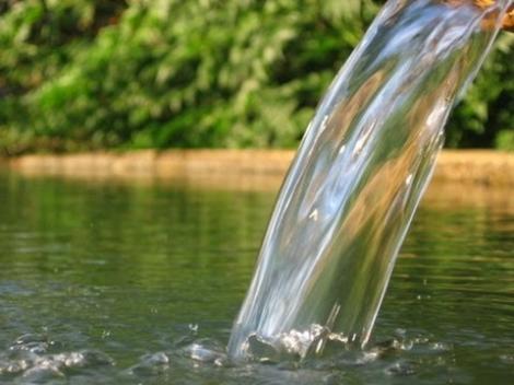 Localnicii unei comune din Caraș Severin au înlemnit când au văzut ce se găsește într-un izvor! Ce conține apa! (VIDEO)