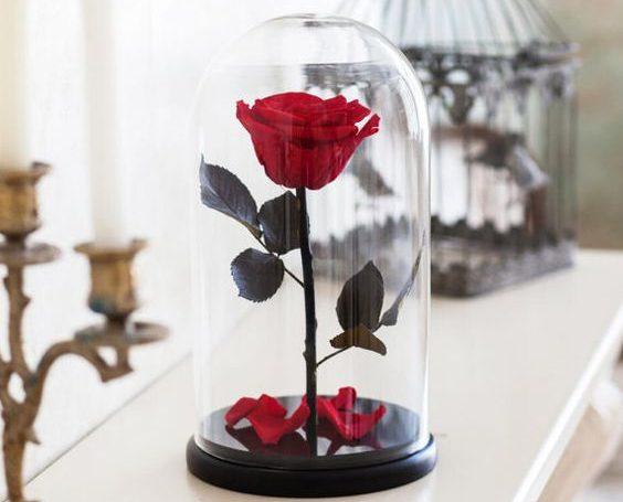Cadoul perfect de Dragobete: trandafirii criogenați. Rezistă p&acirc;nă la nunta de argint