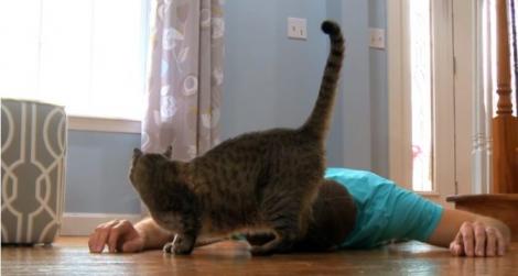 Un bărbat s-a prefăcut că moare ca să vadă ce reacție are pisica! Animalul a dat clasă tuturor! (VIDEO)