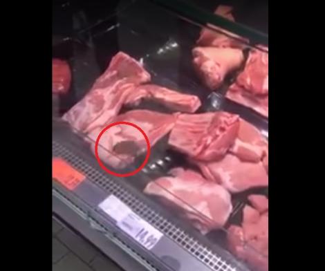 Imagini dezgustătoare, într-un supermarket din România! Un șoarece se plimbă liber peste carnea pe care oamenii o cumpără: "Vă mușcă, nu puneți mâna pe el!"