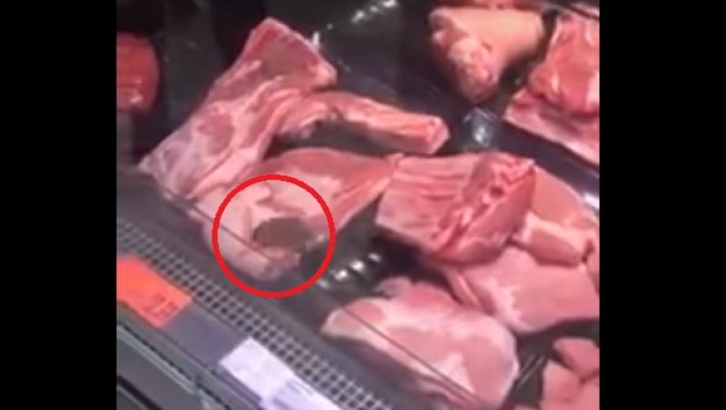 Imagini dezgustătoare, într-un supermarket din România! Un șoarece se plimbă liber peste carnea pe care oamenii o cumpără: 
