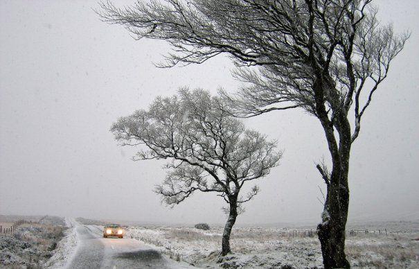 Ultimul anunț al meteorologilor! Cod galben de intensificări ale v&acirc;ntului &icirc;n două județe ale țării!
