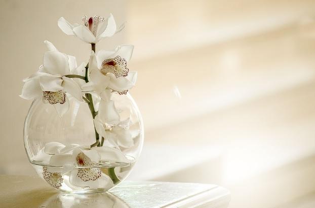 Tu cum te pregătești de 1 Martie?