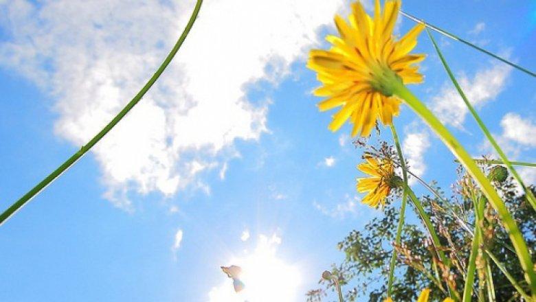 Vine, vine primăvara? Meteorologii vin cu vești bune: vremea se va &icirc;ncălzi!