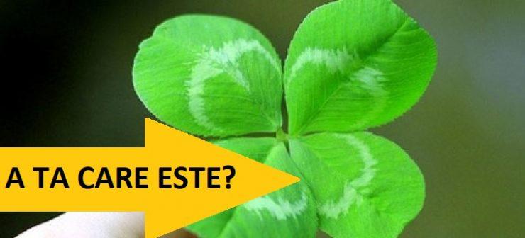 Martie, luna succesului pentru BERBECI. Luna ta norocoasă din anul 2018, &icirc;n funcție de semnul tău zodiacal