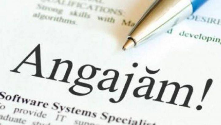 Se fac angajări! Peste 20.000 de locuri de muncă disponibile pentru rom&acirc;ni. Nu ai nevoie de studii!