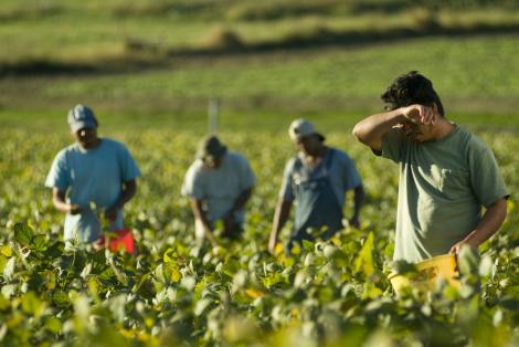 Anunț important pentu toți românii care lucrează în Italia! Sănătatea le este pusă în pericol