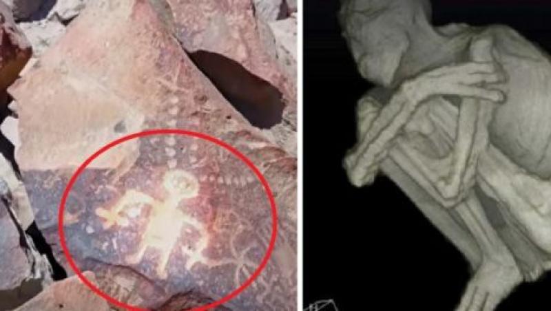 Descoperire misterioasă în Peru: mumia gigant. Are capul alungit, iar mâinile și picioarele au doar trei degete, foarte lungi. ,,Este uimitor! Ființele găsite nu arată uman, iar altele par hibrizi, între oameni și extratereștri!”