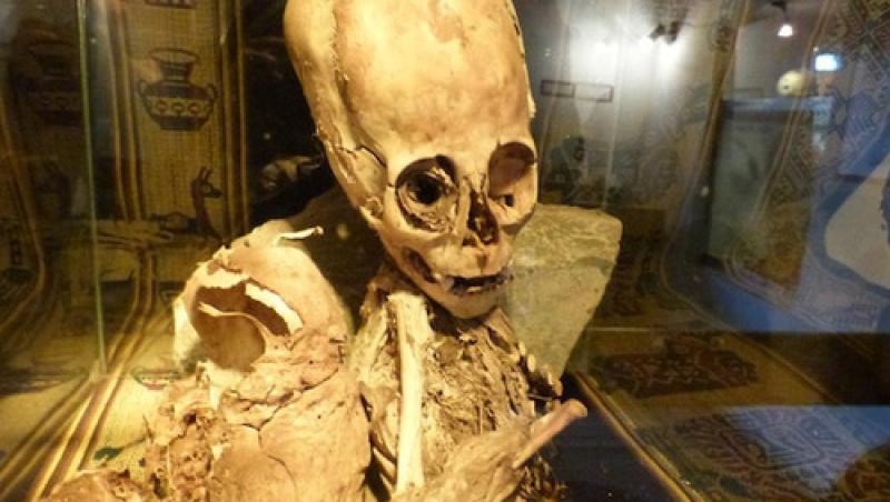 Descoperire misterioasă în Peru: mumia gigant. Are capul alungit, iar mâinile și picioarele au doar trei degete, foarte lungi. ,,Este uimitor! Ființele găsite nu arată uman, iar altele par hibrizi, între oameni și extratereștri!”