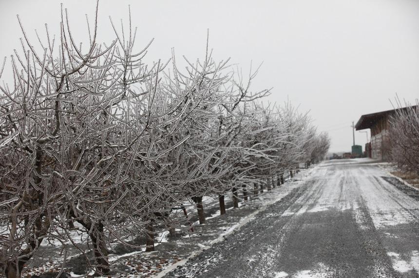 Bucureștiul e PARALIZAT! Fenomenul meteo neobișnuit a oprit decolarea avioanelor și a &icirc;nchis o autostradă!