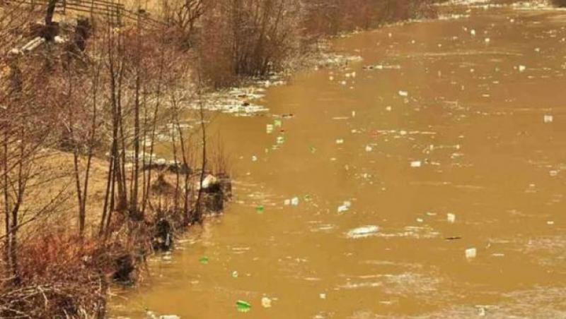 Imaginile rușinii în România: Sticle de plastic și alte mizerii plutitoare, pe apele umflate ale râului Arieș