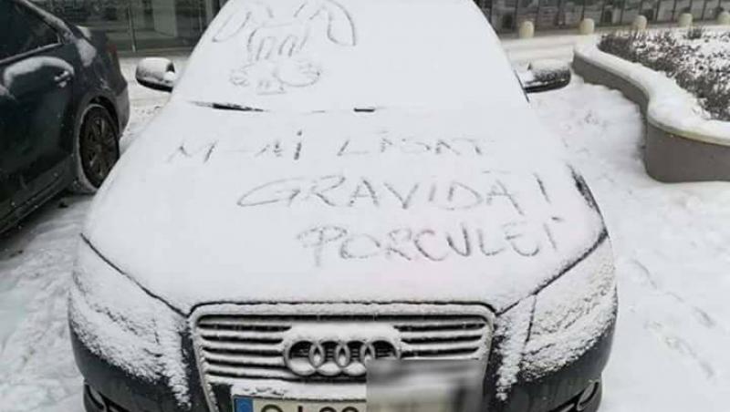 VIRAL. Mesajul anului în România. Zăpada a ajutat-o să se răzbune pe iubit: „Porcule, m-ai...”