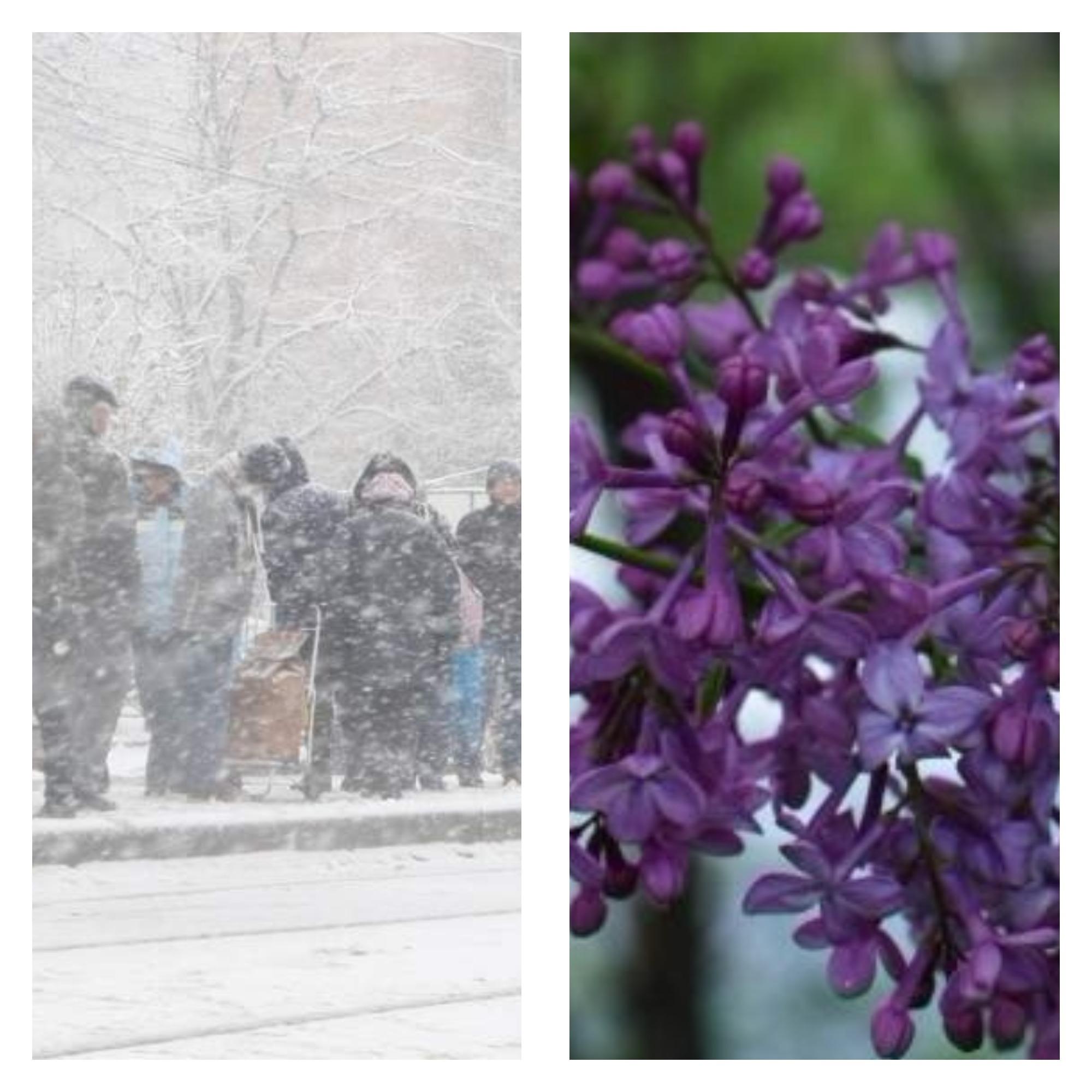 Prognoza METEO| Vremea SE SCHIMBĂ radical p&acirc;nă la 1 APRILIE! Temperaturi RECORD