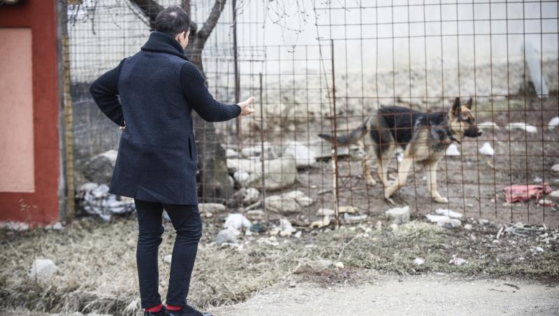 Momente de panică pentru Jean de la Craiova: “Când am fost ultima dată la furat de cireșe, m-a ținut un câine în pom până seara”
