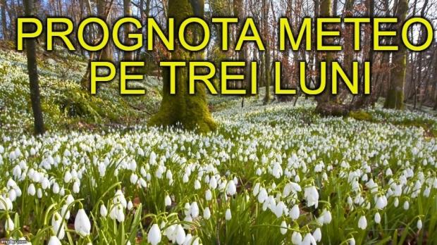 Vremea o ia razna! Anunţul făcut de meteorologi. Prognoza meteo pe trei luni. Ce aduce prima lună de vară