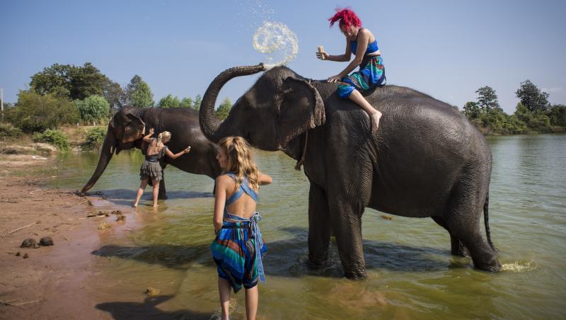 Cea mai frumoasă provocare de până acum pentru Ana şi Raluka. Cele două concurente trec la spălat... elefanţi: 