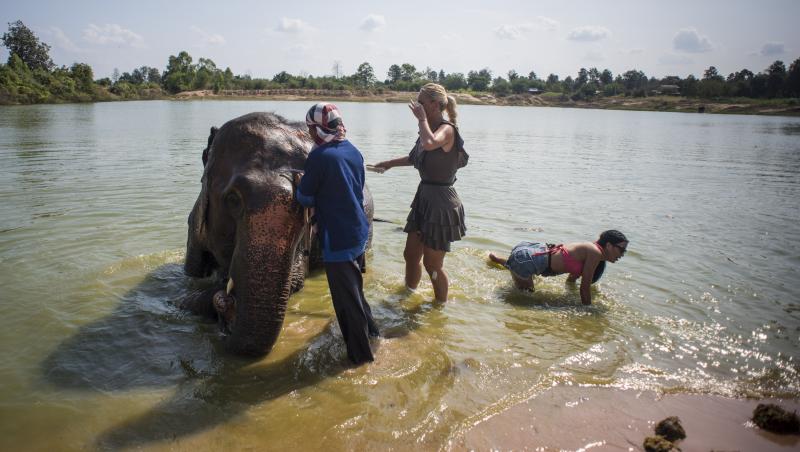 Cea mai frumoasă provocare de până acum pentru Ana şi Raluka. Cele două concurente trec la spălat... elefanţi: 